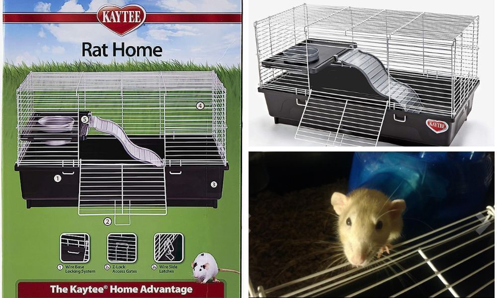 Kaytee Rat Cage