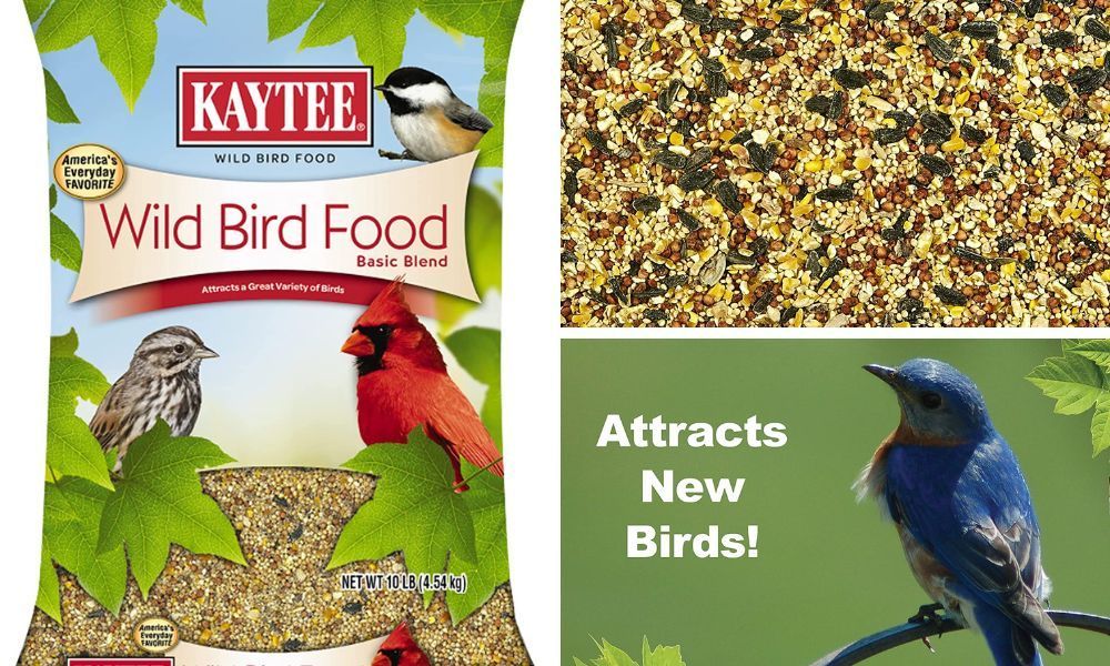 Kaytee Bird Food