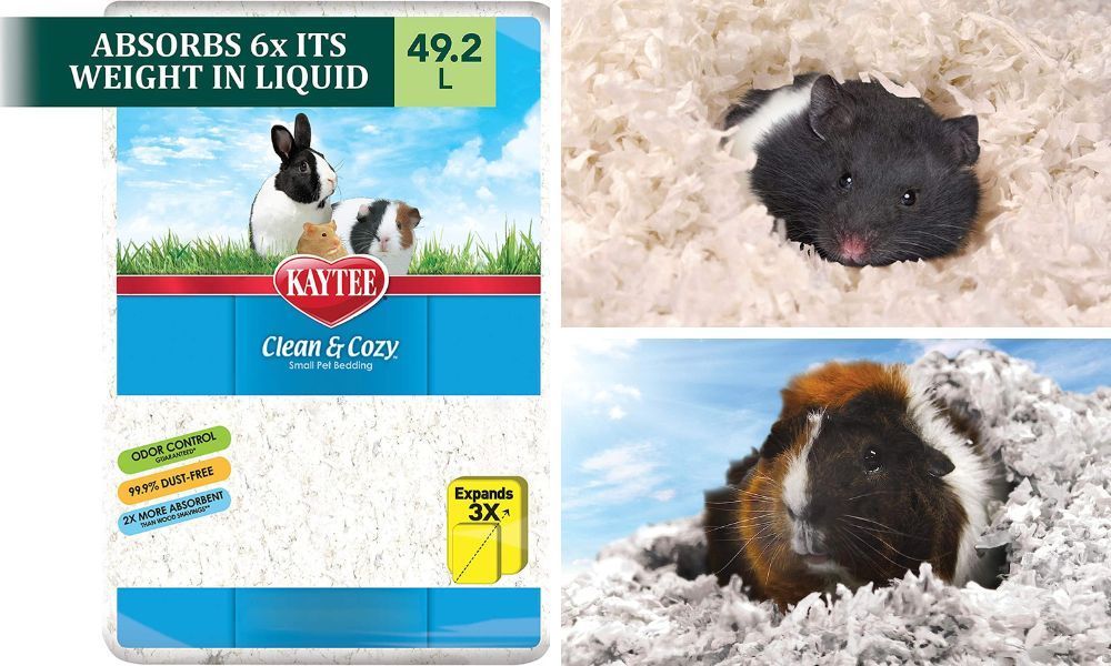 kaytee clean and cozy bedding