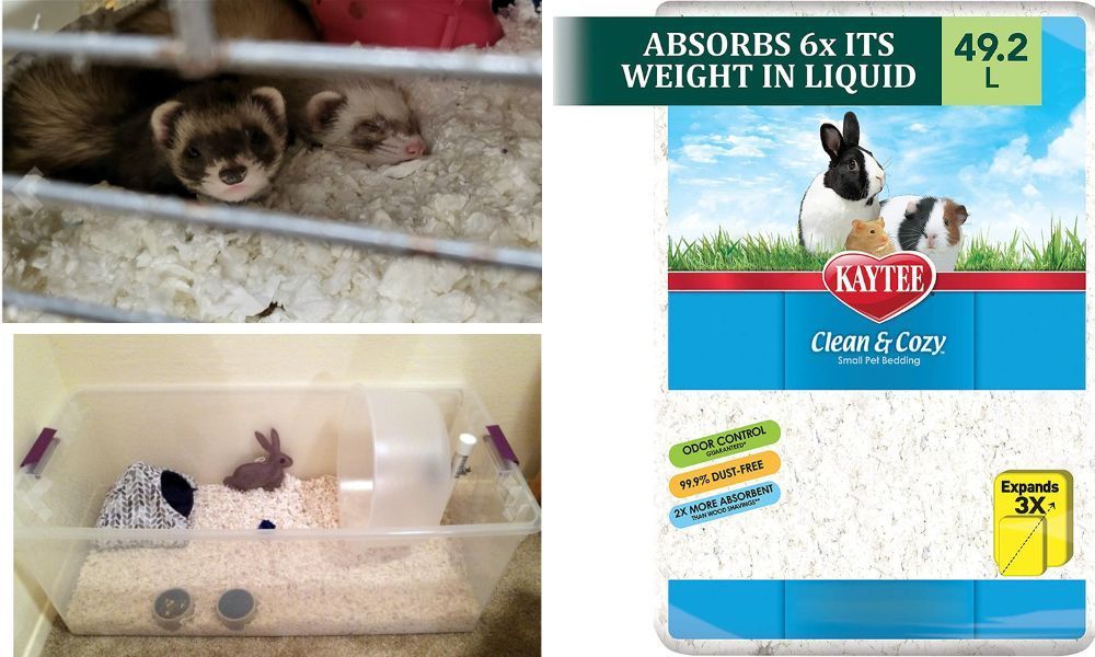 Kaytee clean & cozy white small animal bedding