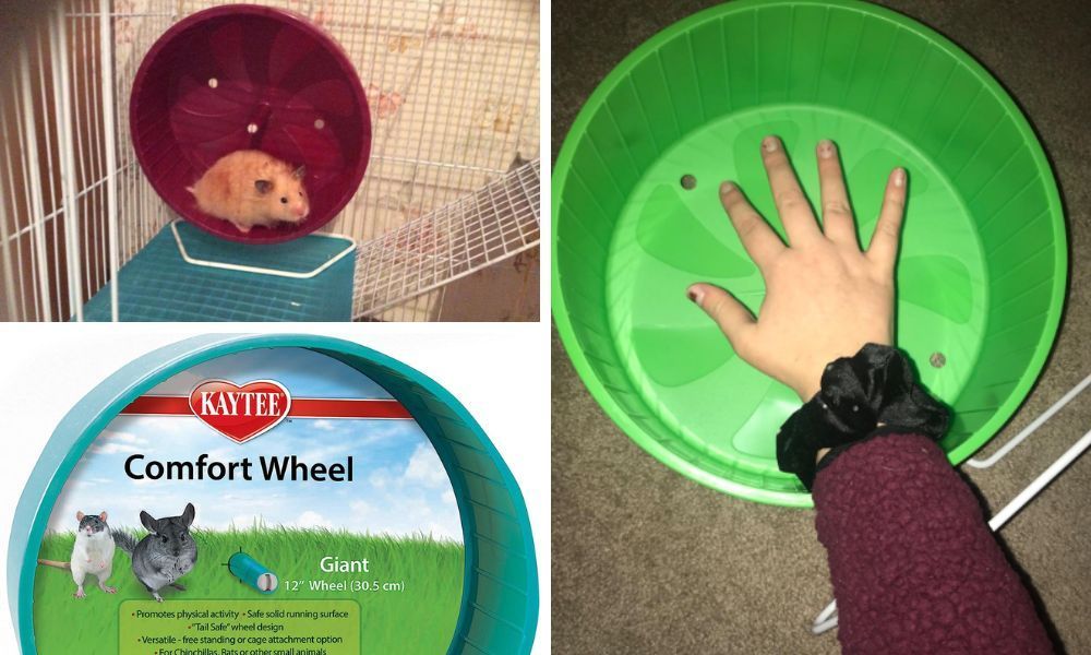 Kaytee Comfort Wheel