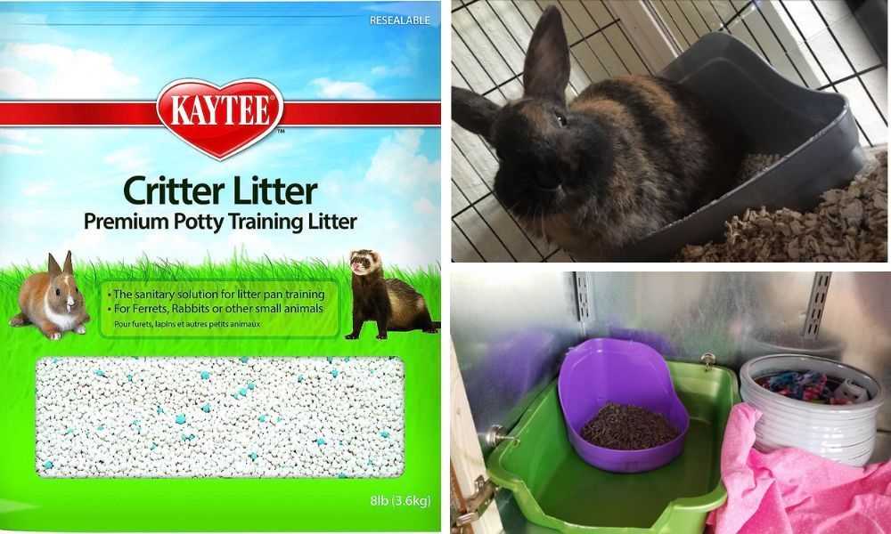 Kaytee Critter Litter