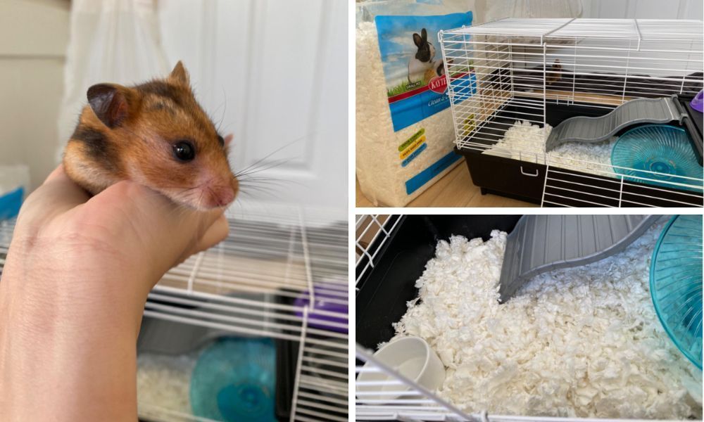 Kaytee Hamster Bedding