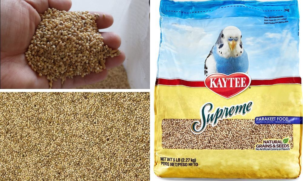 Kaytee Supreme Parakeet Food