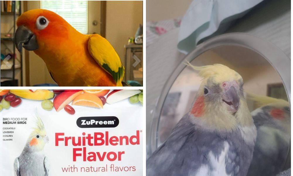 ZuPreem Fruit Blend