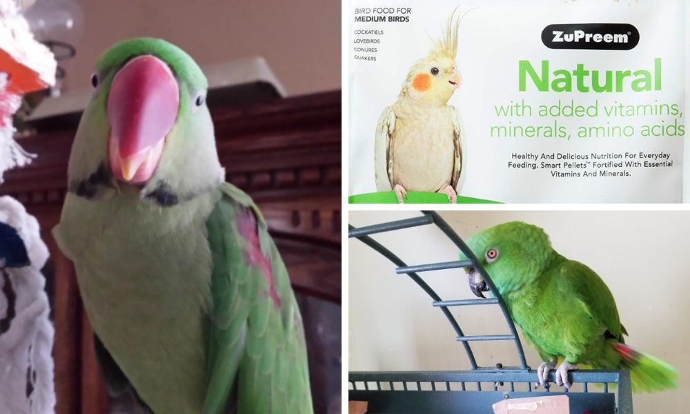 Zupreem Natural Bird Food