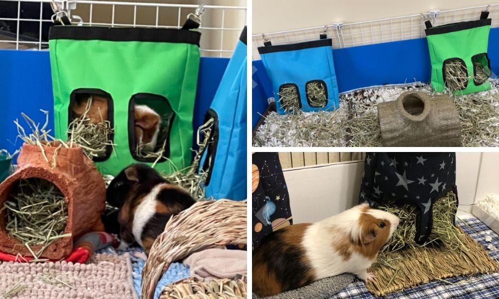 Hay Bags for Piggies