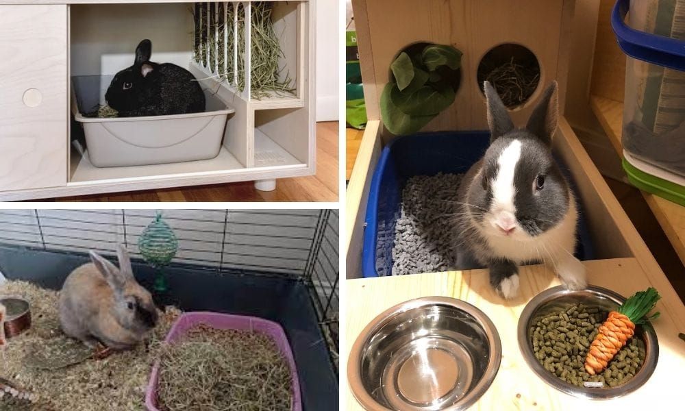 Litter Box for Rabbit