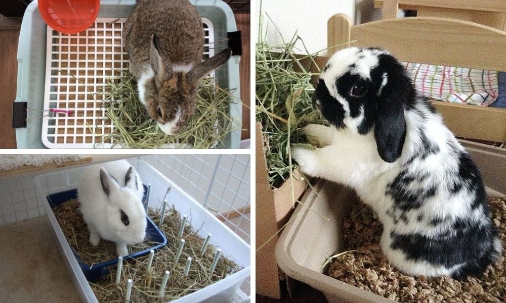 Litter Box for Rabbit 