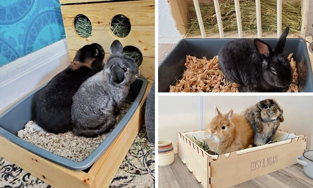 Litter Box for Rabbit