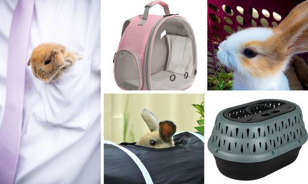 Rabbit Carrier 