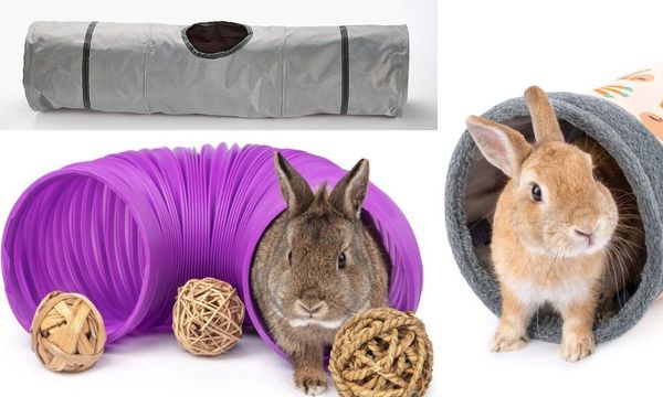 Rabbit Tunnels
