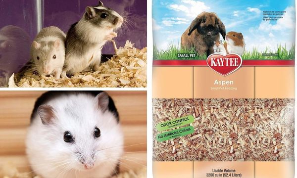 Kaytee Aspen Bedding