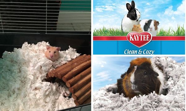 Kaytee Clean and Cozy