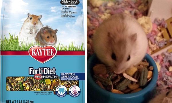 Kaytee Forti-Diet
