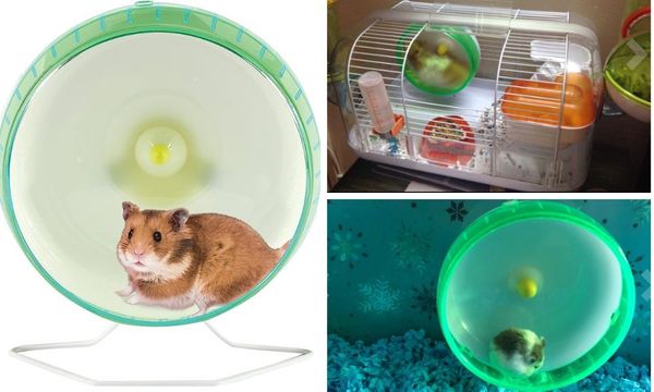 Kaytee Silent Spinner