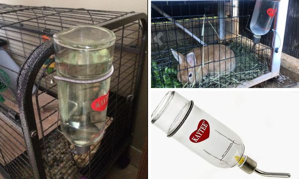 Kaytee Water Bottle