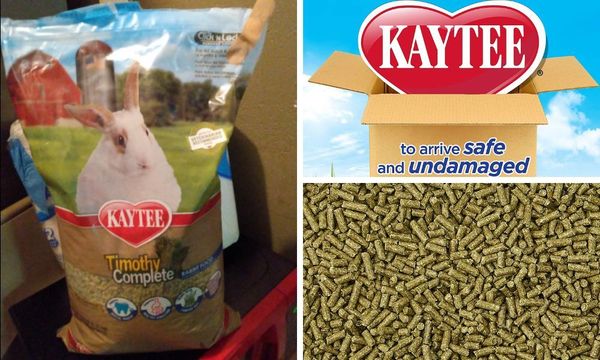 Kaytee Rabbt Food