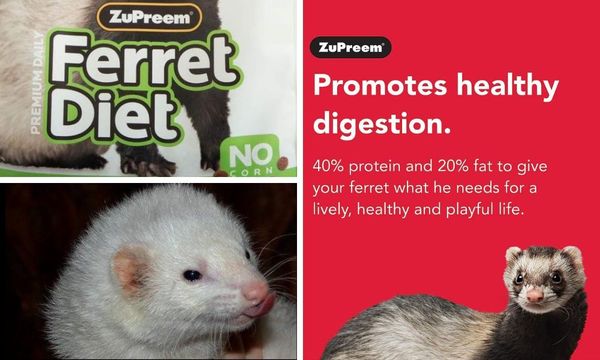 Zupreem Ferret Food