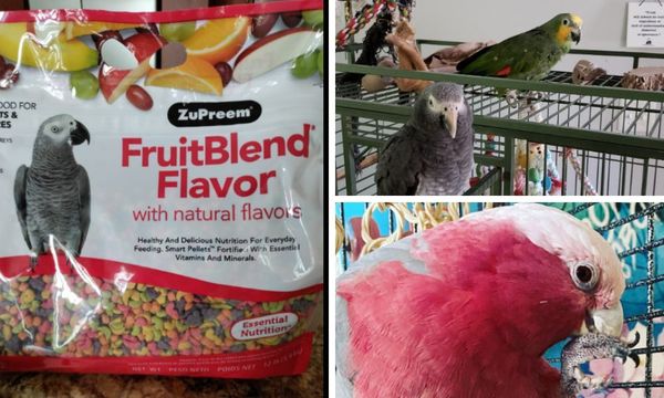 ZuPreem Pellets Bird Food