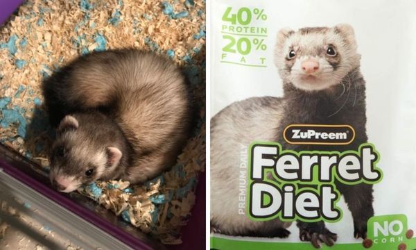 Zupreem Ferret Food