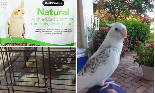 ZuPreem Cockatiel Food