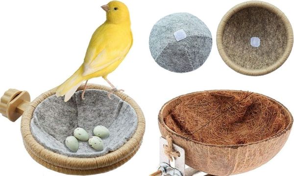 Canary Nest