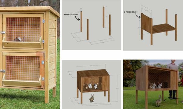 Rabbit Hutch DIY