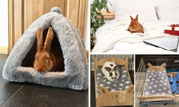 Rabbit Bed 