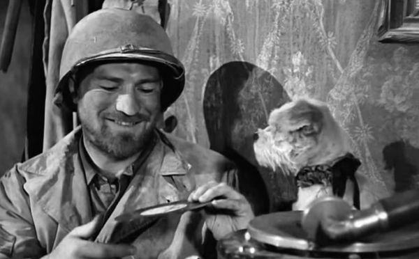 TCM Look-Ahead (Feb. 20)