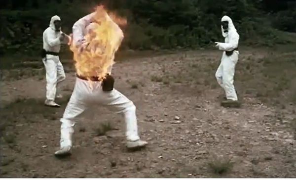 Directorial Chronology - 1973