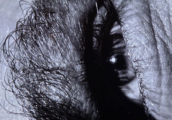 First Time Watches - March Top Ten