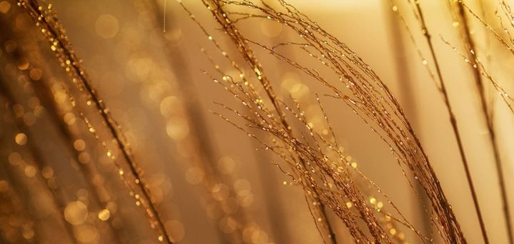 Stop selling gold when all you've got to offer is a process