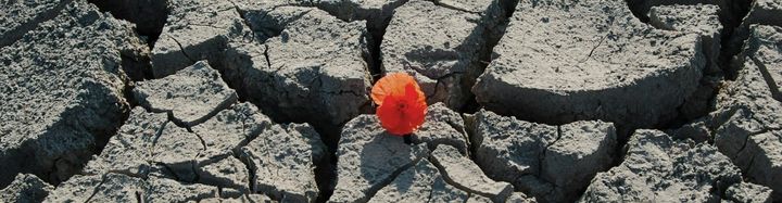 They will not break me.