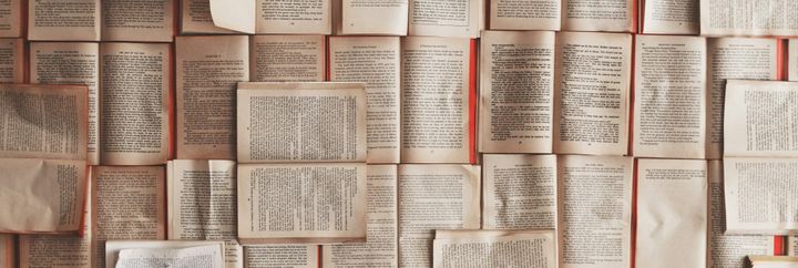 Ignore the humanities at your own peril