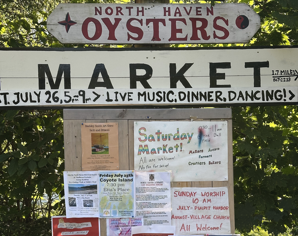 robot karaoke: august 2025