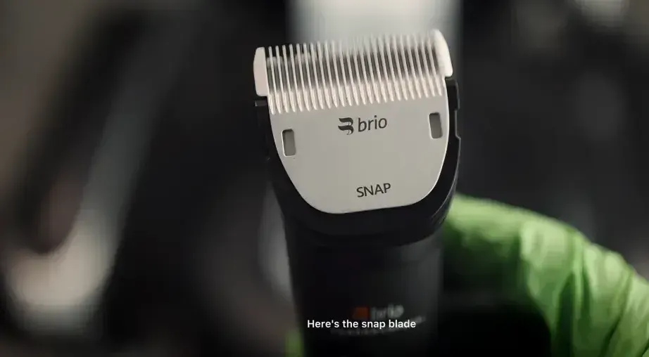 Brio Beardscape V1 Plus Hands-on: Key Takeaways & Performance | Kingmelifestyles