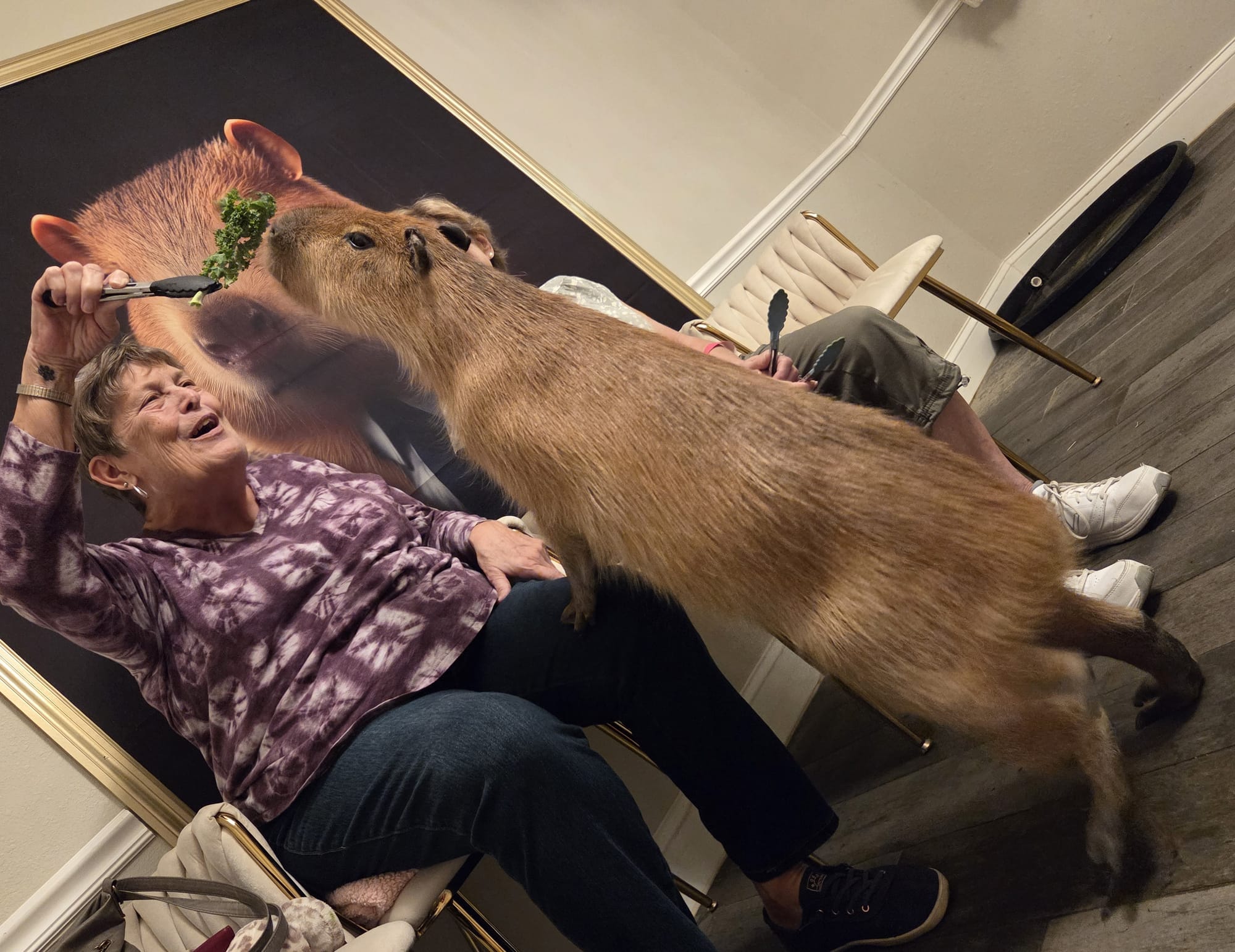 Wendall in the Wild: Capybaras are a thing - Who woulda thunk it?
