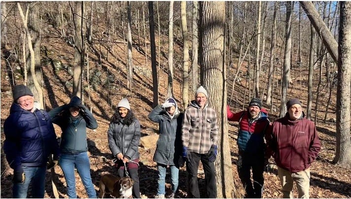 Medford mini-forest aims to reduce heat, increase biodiversity