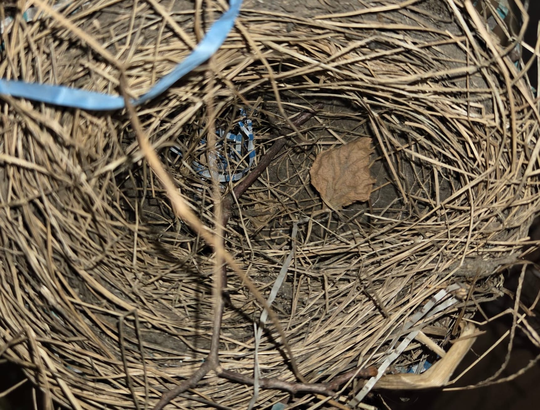 Good morning, Medford, Wednesday, April 15