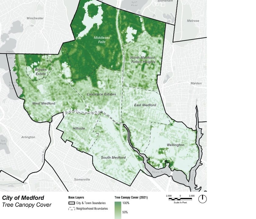 Medford's urban forest needs some TLC and some funding, according to a new report