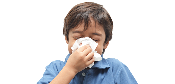 Flu still prevalent, COVID-19 rates dropping in Mass. post image