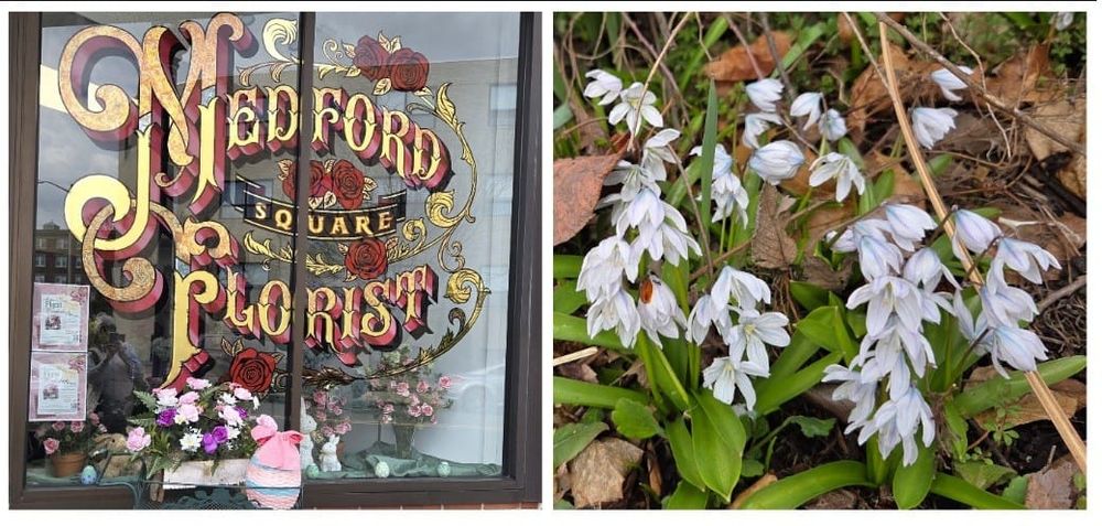 Good morning, Medford, Friday, March 27 post image