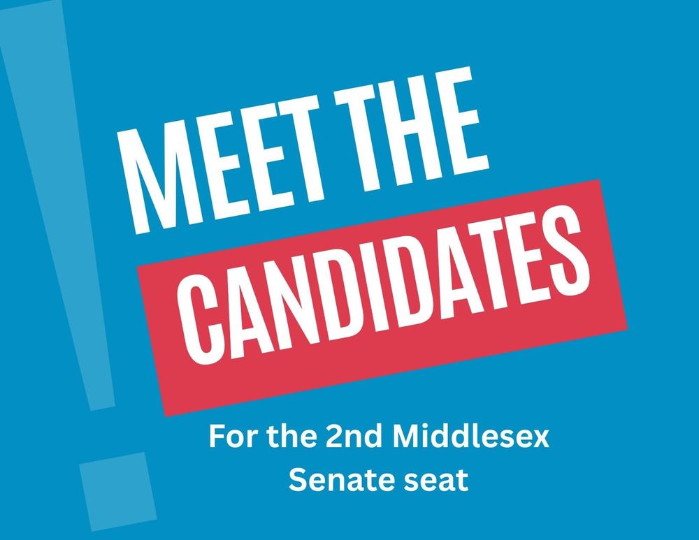 Five candidates for state Senate 2nd Middlesex have their say at forum post image