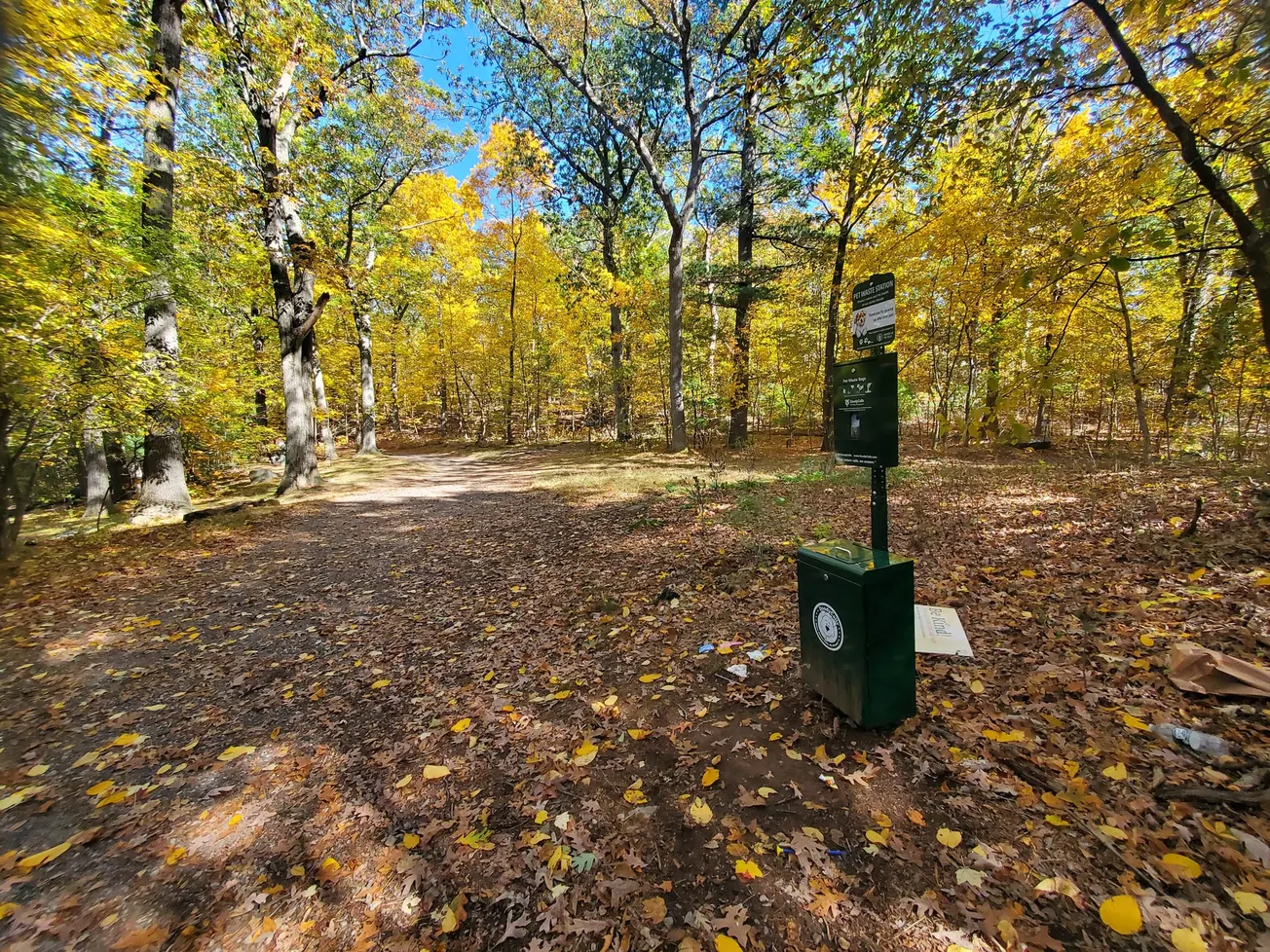 Dog poop stations aim to reduce littering of bags in Middlesex Fells