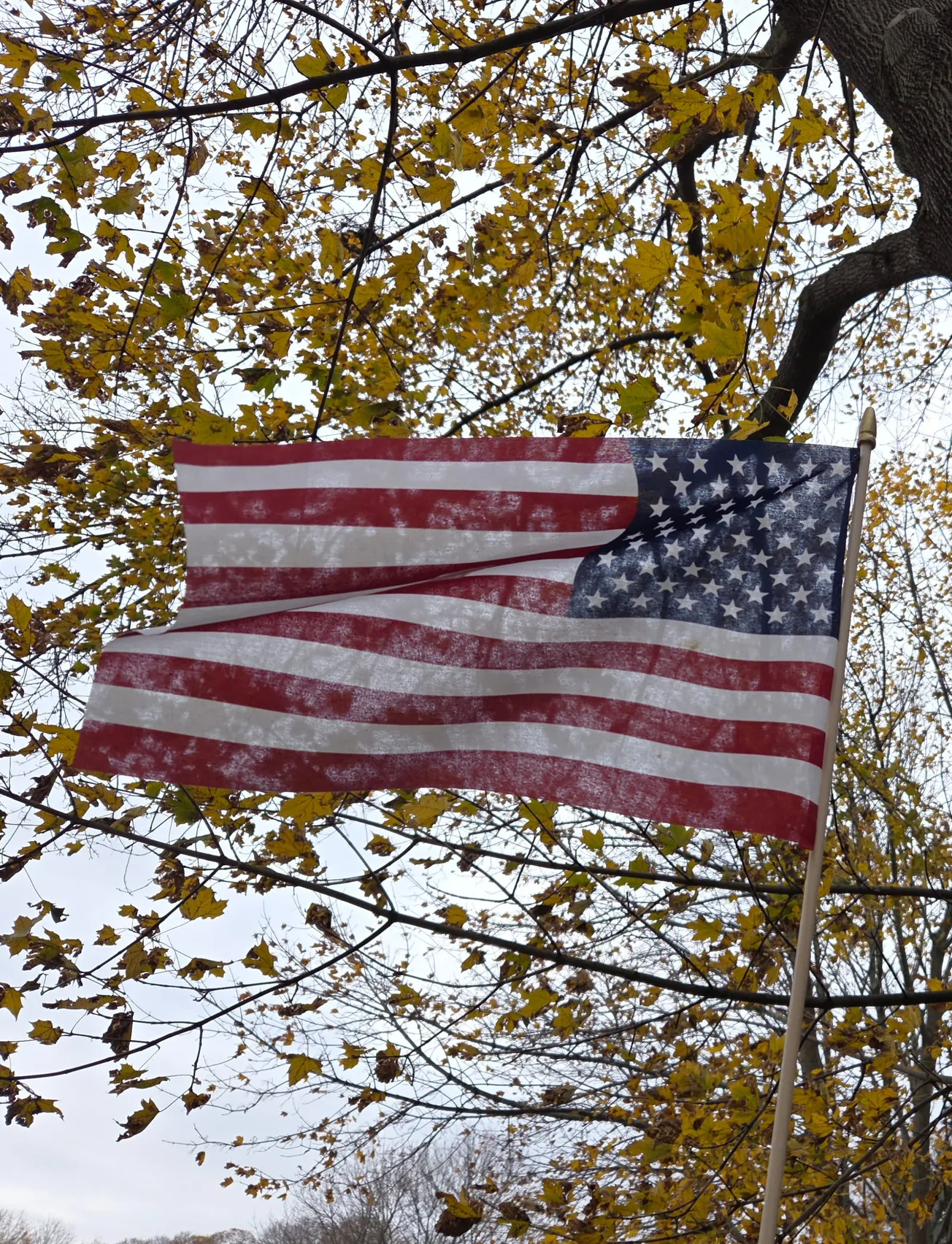 Honor our veterans today, and every day