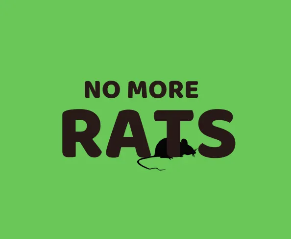 City Council to consider fines for violations of rodent control measures