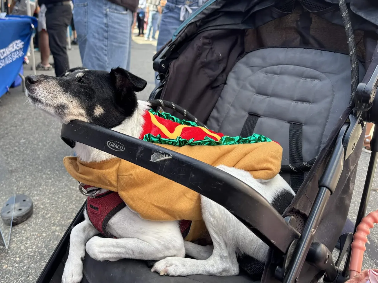 At Oktoberfest, community is the word of the day
