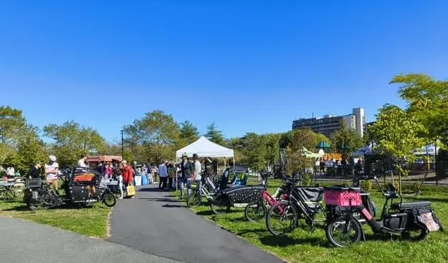 Medford's annual Harvest Your Energy Festival hopes to power sustainability movement