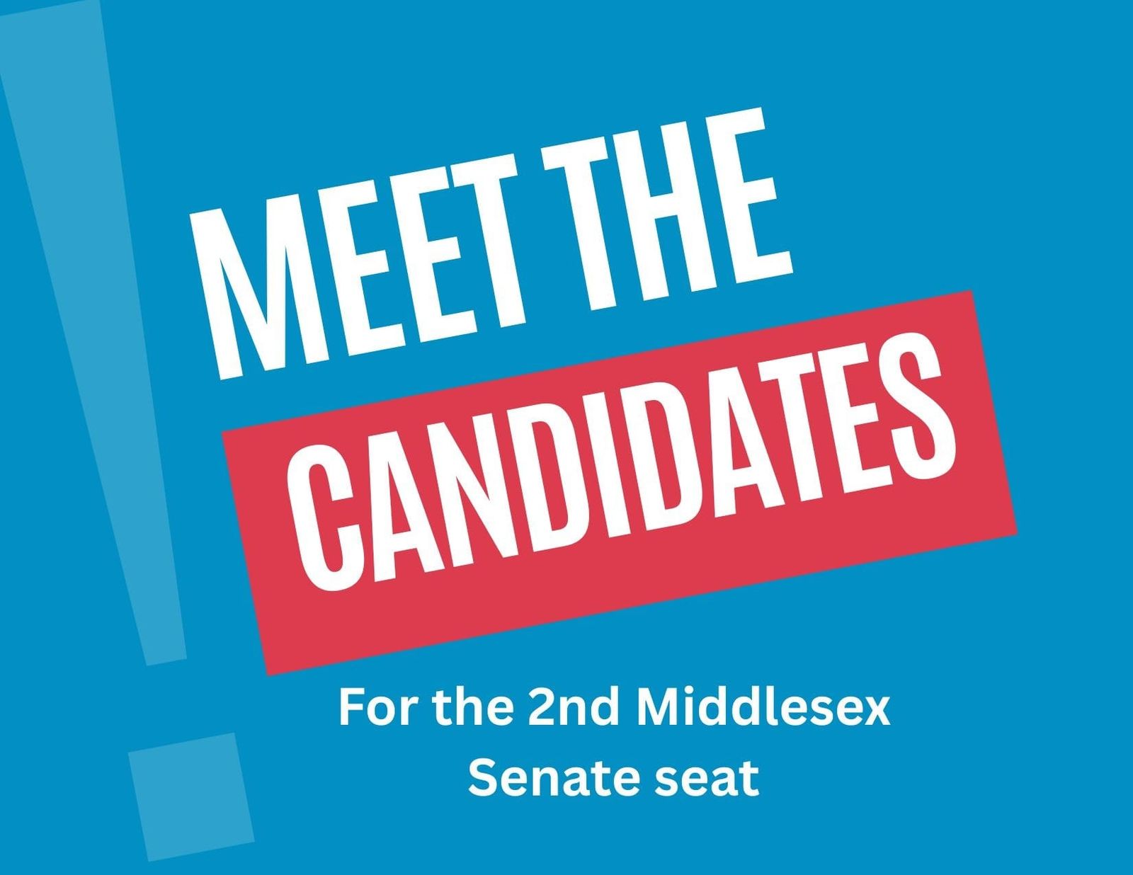 Five candidates for state Senate 2nd Middlesex have their say at forum post image
